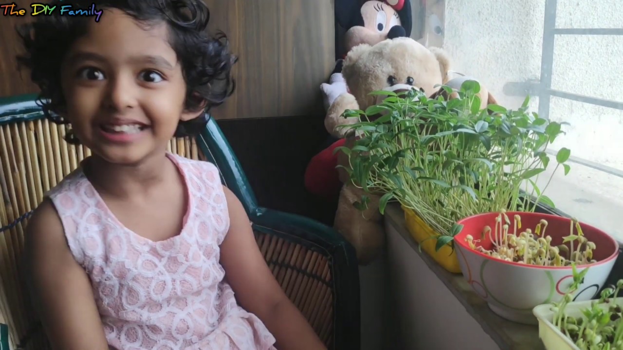 MICROGREENS DOSA | Healthy & Simple Breakfast Recipe MICROGREENS DOSA | Healthy & Simple Breakfast Recipe