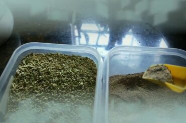 Lock down special Easy, tasty, healthy n quick dinner recipe