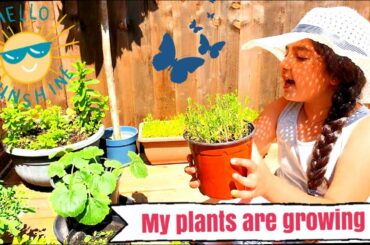 My plants are growing making healthy salad  #oliviasfuntime