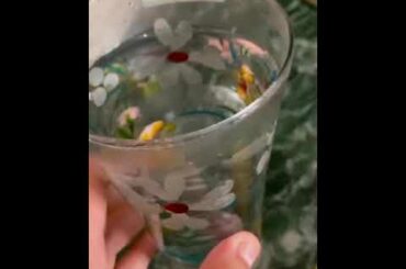 Weight loss Detox Water #weightloss #india #healthy #diet #quarantine #detoxwater #recipe #easy