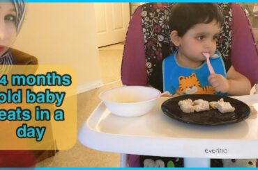 what my 14 months baby eats in a day//toddler meal ideas//healthy toddler meals //pakistani mom