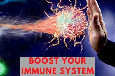 Best Foods for Weak Immune System | Healthy Recipes, Boost your immune system.