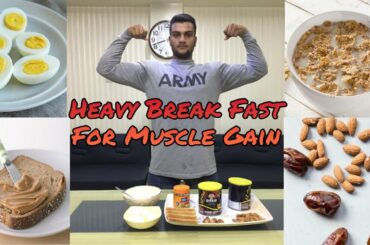Breakfast for Muscle Gain - Breakfast club Recipe -  Healthy Muscle Gain Breakfast(B-Fit Studio)