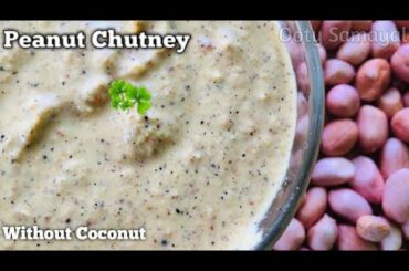 Peanut chutney | Peanut chutney without coconut | Healthy recipe | Quick chutney | Badaga