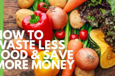 How to Waste Less Food and Save More Money