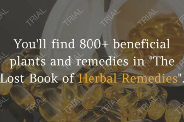 healthy food recipes/cheap healthy food/happy healthy food/herbal remedies