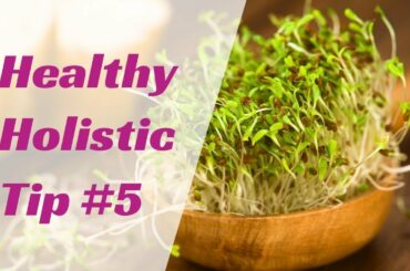 Healthy Holistic Tip #5: Alfalfa Sprouts