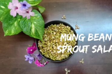 High Protein Breakfast For Weight Loss- Pcod/Pcos Diet Recipes To Lose Weight.....