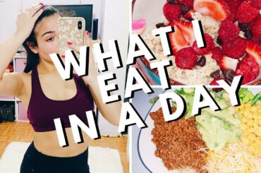 What I Eat In a Day During Quarantine! Healthy Recipes!