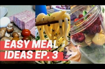 Meal Ideas for the Week Ep. 3 | Lazy Food Diaries