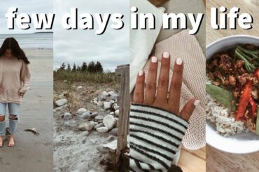 VLOG: beach trip, getting my nails done + healthy stir-fry recipe