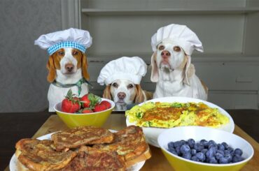 Dogs Cook Breakfast: Tasty Breakfast Ideas w/Funny Dogs Maymo, Penny & Potpie