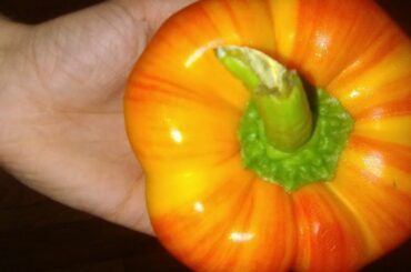 Summer Dinner ideas! ( Stuffed mushrooms, beet salad, rainbow carrots, ice tea)