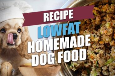Lowfat Homemade Dog Food Recipe
