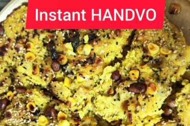 Instant HANDVO | INDIAN FOODIE MASTER| HEALTHY RECIPE| BY DR Dhwani Goswami