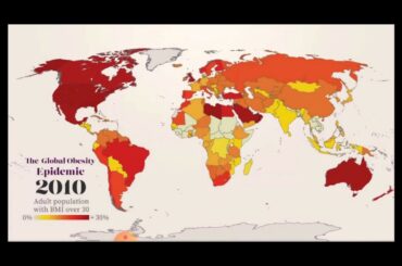 Importance of diet | the perfect diet | nutritional food |healthy food