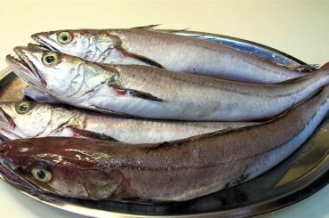 Codfish recipe. Cod SALAD Simple and Healthy | Merluzzo all'insalata | Italian Food