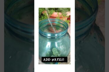 Flavoured Water best for Weight Loss | Sagar Mehta Kitchen Recipe's