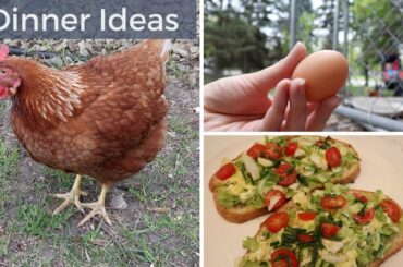 Dinner Ideas 2020 | Eggs from Backyard Chicken