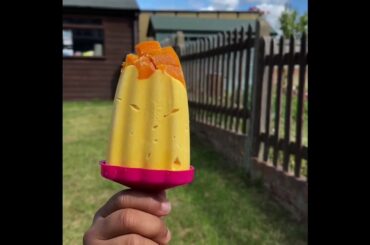 Mango Lollies : Homemade Healthy Recipes