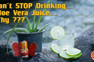 Nourish Aloe Vera Juice with Lemon by Minimix  Healthy Recipes