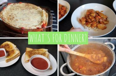 WHAT'S FOR DINNER IDEAS! JUNE 2020