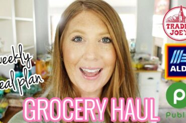 ALDI & TRADER JOE'S GROCERY HAUL / JUNE 2020 // DENAE LYNN