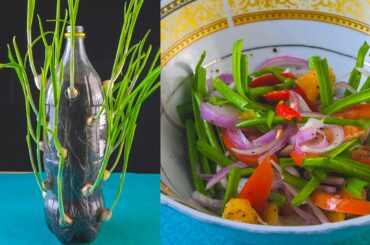 Healthy Garlic Leaves Salad Recipe For Reduce Blood Pressure | Easy Salad Recipe