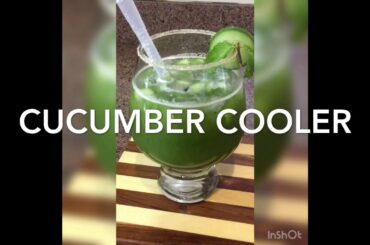 Cucumber Cooler|Healthy Drink|Weight loss Recipe|Sarika kumar Recipes