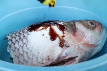 Seafood Salad To Die For | Healthy Salad Recipes For Weight Loss