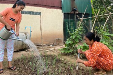 Free ingredients around my home / Healthy Food For Family / Prepare By Sreypov Life Show.