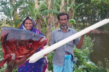 Banana Stem And Fish Head Cooking In My Village !! Healthy Banana Stem Curry Recipe VILLAGE FOOD