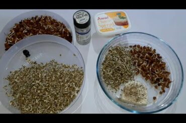 Sprouts Salad Recipe | How to Use Sprouts Maker - Quick & Easy Healthy Breakfast