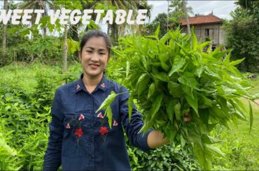 Healthy Sweet Vegetable Recipe / Healthy Soup Cooking / Prepare By Countryside Life TV.