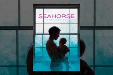 Seahorse: The Dad Who Gave Birth