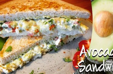 Avocado Sandwich Recip | Healthy Diet Recipe|Avocado Toast Recipe | Avocado Sandwich for Weight Loss