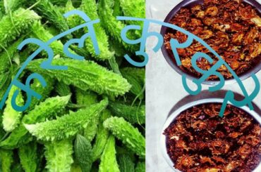 Karela Kurkure/Healthy recipe/India Tradition recipe/Snacks recipe/Bitter Gourd/Bitter Melon