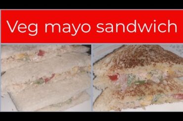 Veg mayo sandwich | bread sandwich | breakfast recipe | veg sandwich h