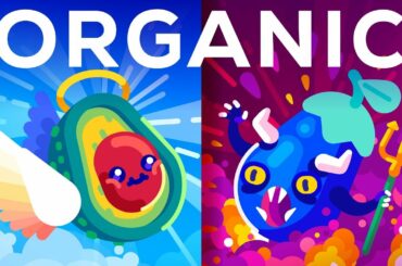 Is Organic Really Better? Healthy Food or Trendy Scam?