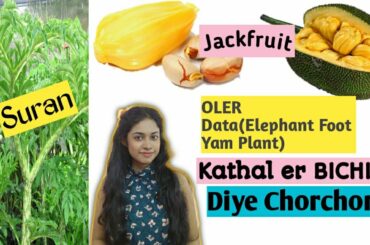Oler Data Kathal er Bichi Diye Chorchori| Healthy Recipe| Indian Recipes| Quick recipe 2020 | Bengal