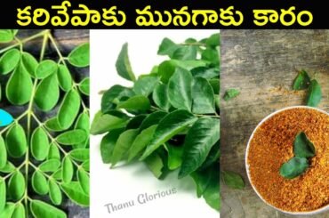 Munagaku karam  easy preparation || Healthy recipes || Andhra Recipe || Thanu Glorious