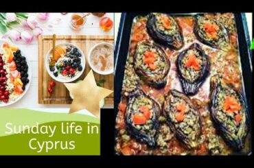 How to cook eggplant with mincemeat | Vegetables healthy foods. #mincemeat