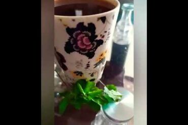 How to make herbal tea healthy recipes / In Hindi/ Sheern sheikh