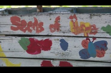 Community farm in St. Louis County turns food desert into healthy food haven