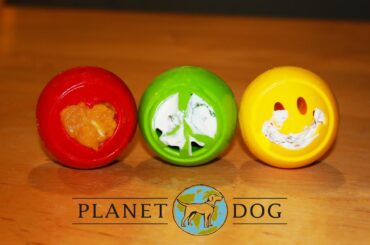 Recipes for Your Planet Dog Nook: Three Healthy Frozen Treat Recipes for Dogs