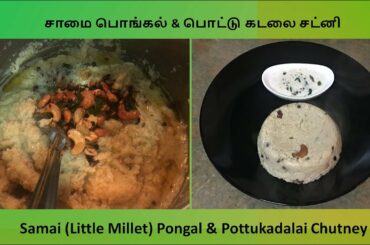 Samai (Little Millet) Pongal & Chutney || Healthy Recipes || Vegetarian Recipes || Cook with Lami