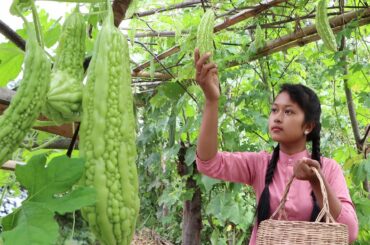 healthy food: Bitter melon with Duck egg tasty and Green vegetable recipe for Dinner in My homeland