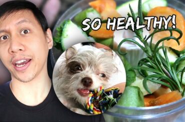 How I Prepare My Puppy's Healthy Meals | Vlog #919