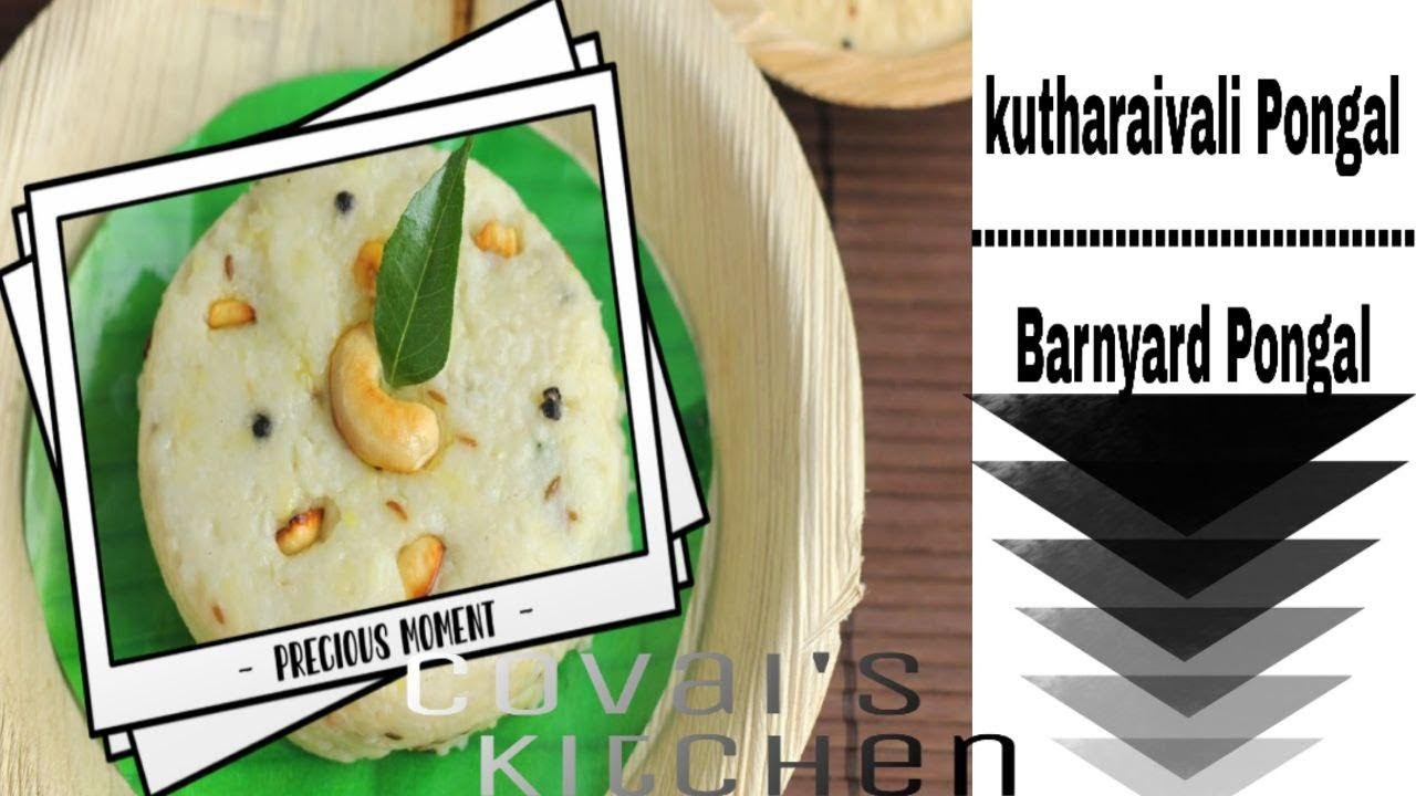 Kuthiraivali Pongal | Barnyard Millet Pongal | Millet Recipes | Ven pongal | Healthy Dish Kuthiraivali Pongal | Barnyard Millet Pongal | Millet Recipes | Ven pongal | Healthy Dish