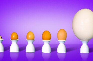 INCREDIBLE EGG RECIPES FOR A PERFECT BREAKFAST || 5-Minute Egg Recipes You Have to Try!